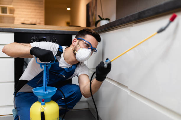 Best Pest Inspection Near Me  in St Marys, GA