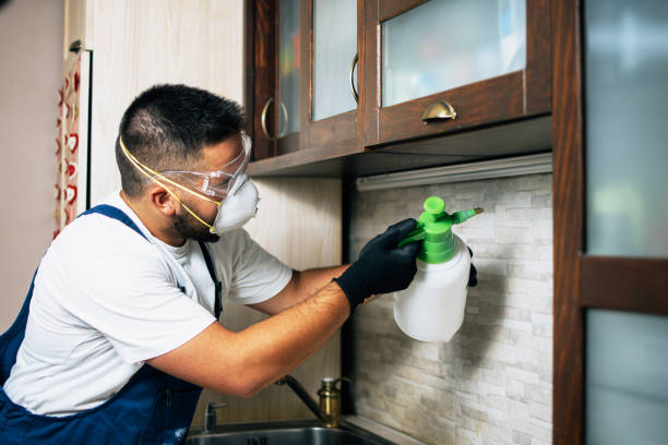 Best Best Pest Control Companies  in St Marys, GA