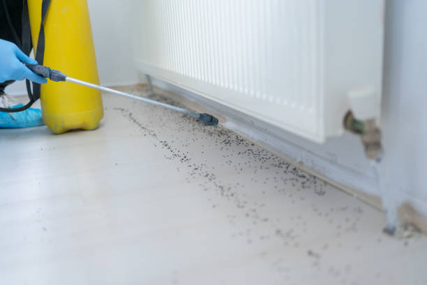 St Marys, GA Pest Control Company