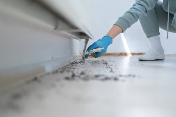Best Commercial Pest Control Services  in St Marys, GA