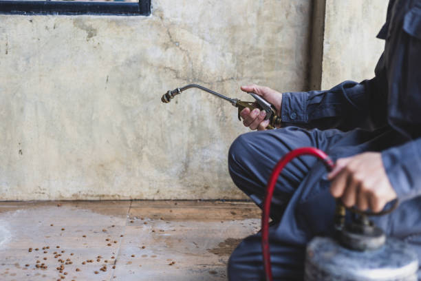 Best Exterminator Services  in St Marys, GA