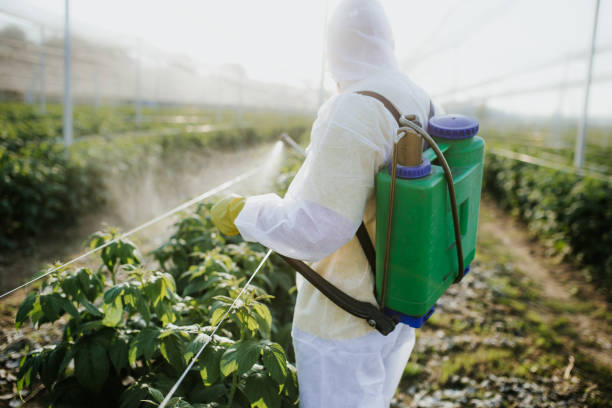Reliable St Marys, GA Pest Control Solutions